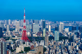 東京都港区六本木の高層ビルの展望台から見た東京の都市景観