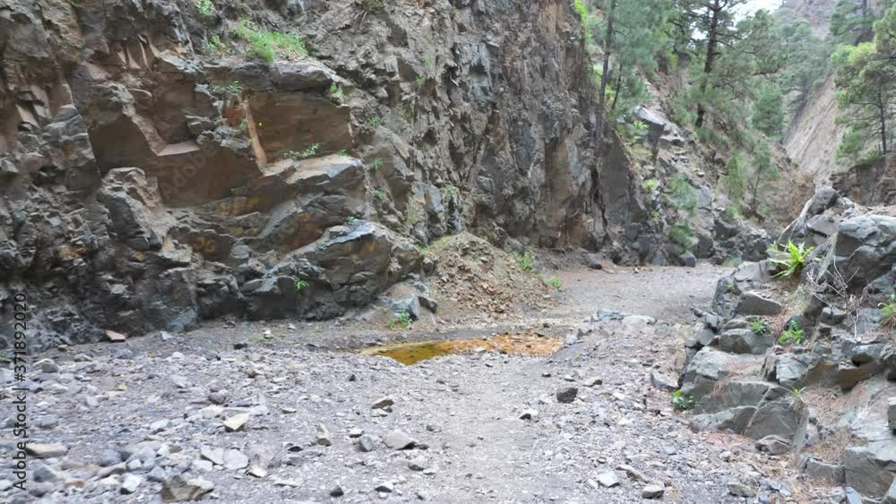 Stabilized Walking Along Mountain River Valley Trail, Caldera de Taburiente Stabilized Walking Along Mountain River Valley Trail, Caldera de Taburiente