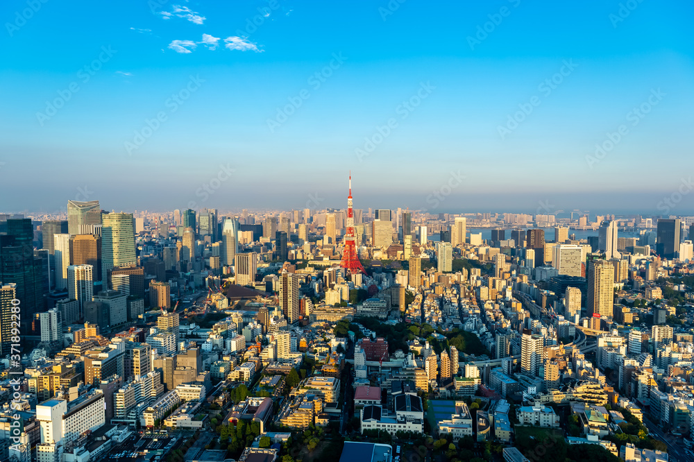 Naklejka premium 東京都港区六本木の高層ビルの展望台から見た夕方の東京の都市景観