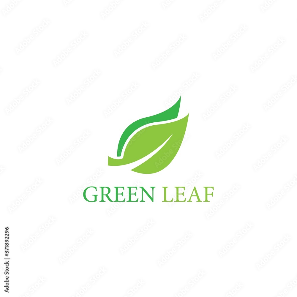 leaf vector logo  icon