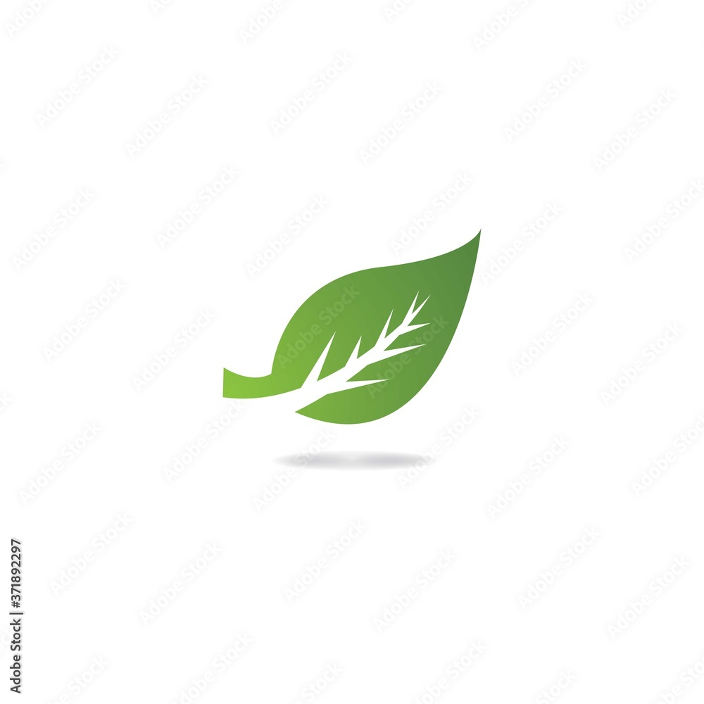 Fototapeta premium leaf vector logo icon
