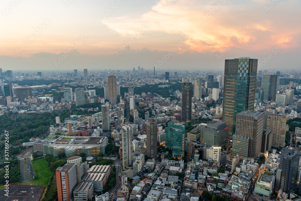 東京都港区六本木の高層ビルの展望台から見た夕方の東京の都市景観