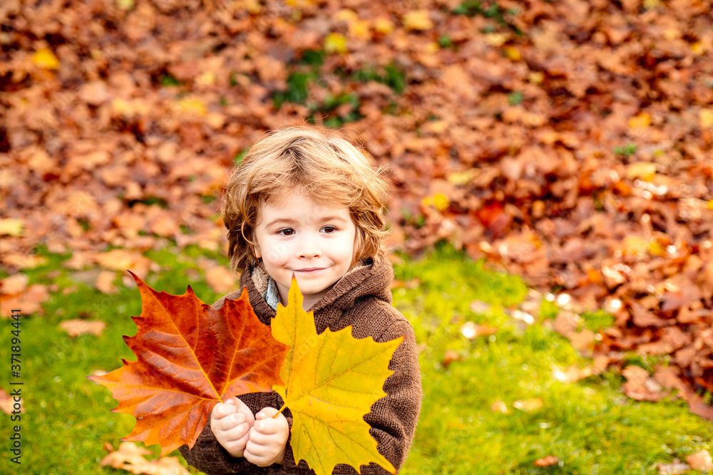 Little boy lying on the yellow leaves in the autumn park. Little boy lying on the yellow leaves in the autumn park.