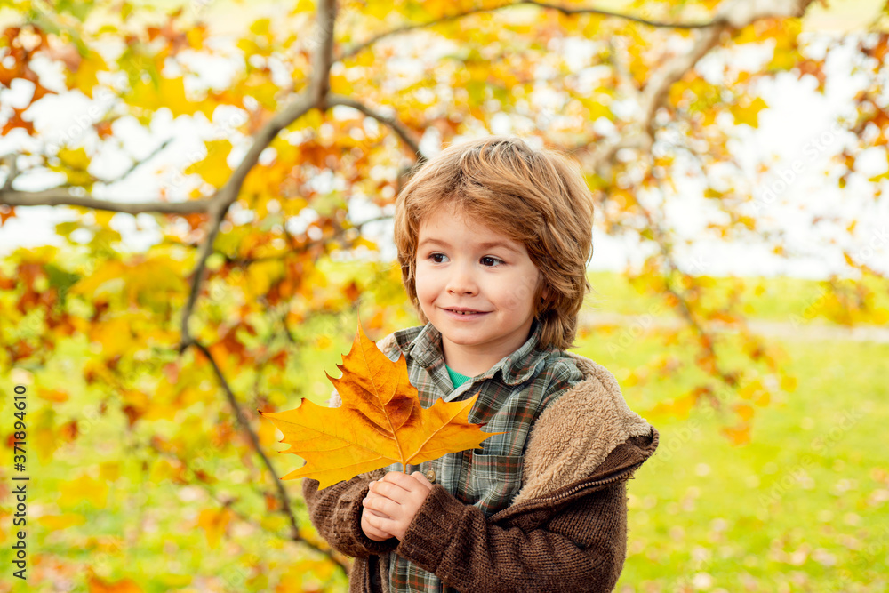 Autumn child portrait. Cute happy kid catching the fallen leaves, playing in the autumn park. Autumn child portrait. Cute happy kid catching the fallen leaves, playing in the autumn park.