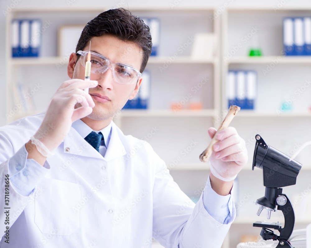 Paleontologist looking at extinct animal bone Paleontologist looking at extinct animal bone