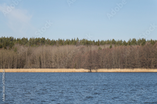The view of sea, forest and blue sky on background, Sweden.
