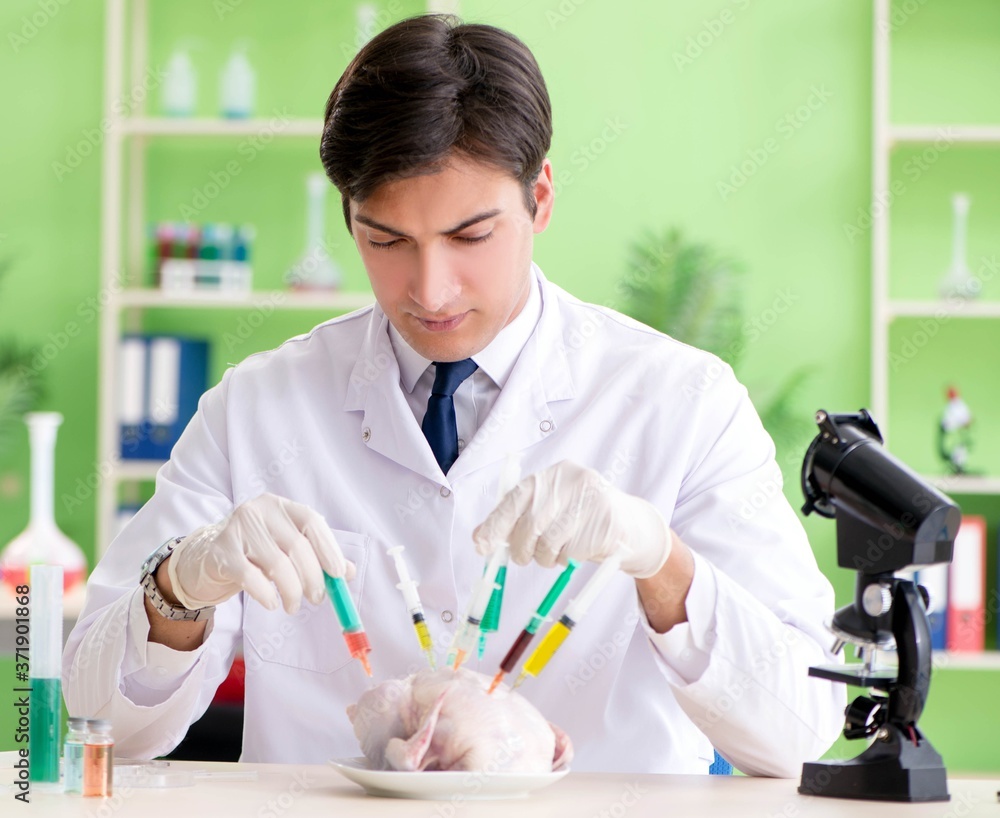 Lab assistant testing GMO chicken Lab assistant testing GMO chicken