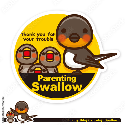 いきもの注意報：ツバメ子育て中サイン（英語）