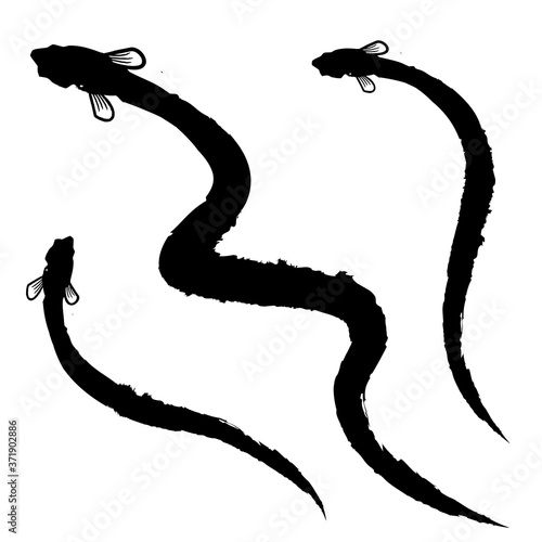 うなぎのイラスト　うなぎのシルエット
Illustration of eel. Eel silhouette. Fish silhouette on a white background.