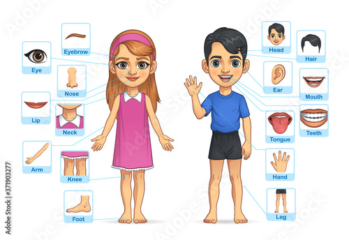 Kid Boy and Girl Body Part