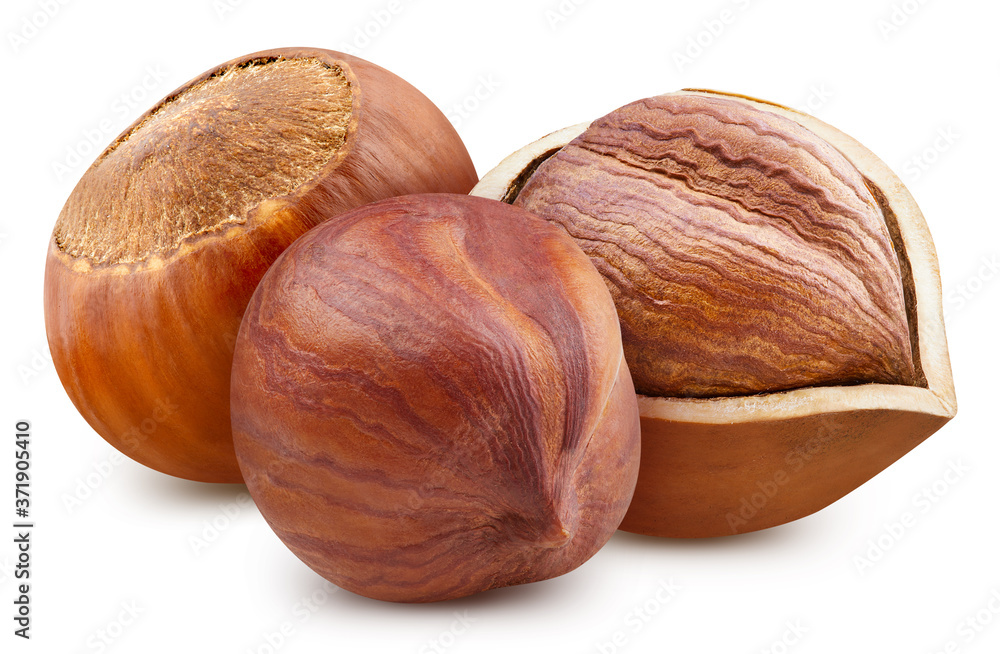 Hazelnut Clipping Path. Ripe whole hazelnut and half isolated on white background with clipping path. Hazelnut fruit image stack full depth of field macro shot Hazelnut Clipping Path. Ripe whole hazelnut and half isolated on white background with clipping path. Hazelnut fruit image stack full depth of field macro shot