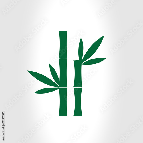 bamboo vector illustration
