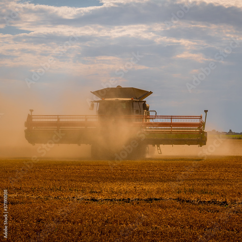 Harvest time in the fens combine emerging from the dust thrown up from harvesting wheat. © Ian