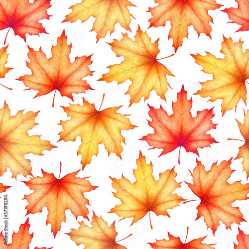 Seamless watercolor pattern with hand drawn maple leaves isolated on white background. Autumn illustration for textile, print, card, invitation, wallpaper, fabric, home decor