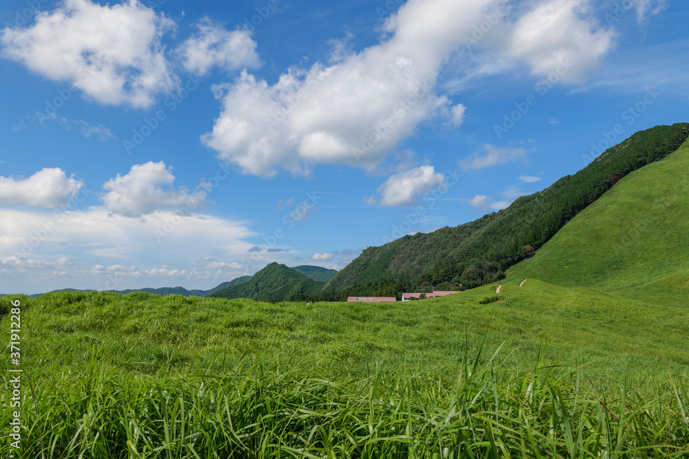 Scenery of Nara-Soni Highlands in midsummer