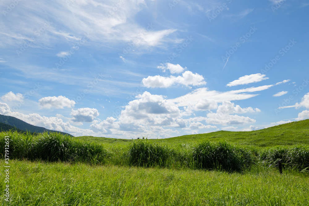 Scenery of Nara-Soni Highlands in midsummer