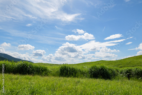 Scenery of Nara-Soni Highlands in midsummer