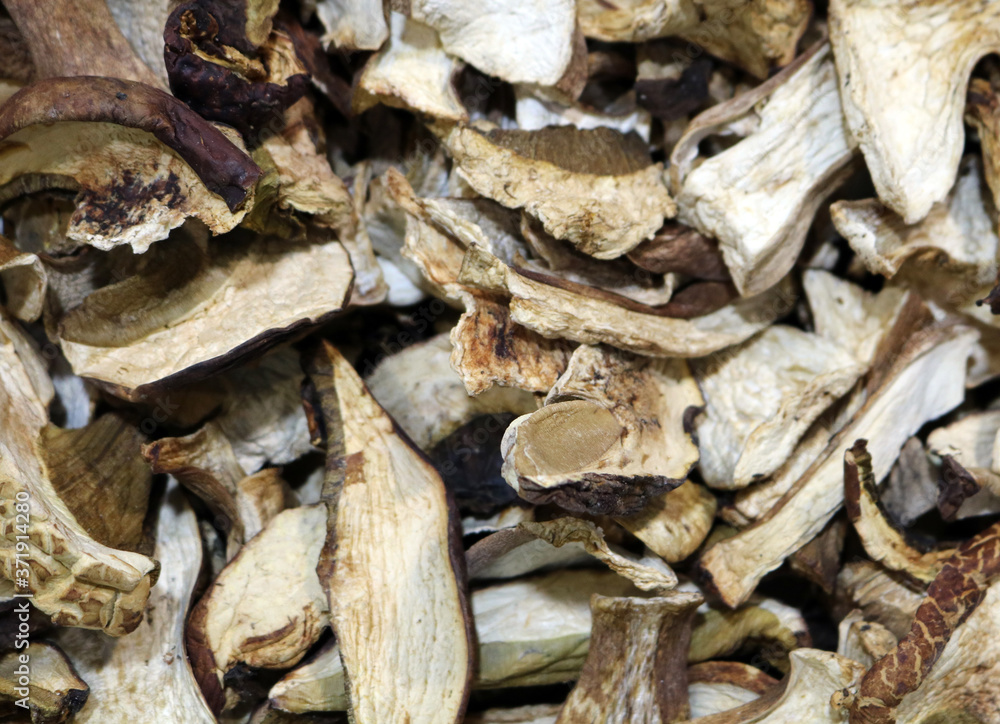 dried porcini mushroom or boletus with a brown hat dried porcini mushroom or boletus with a brown hat