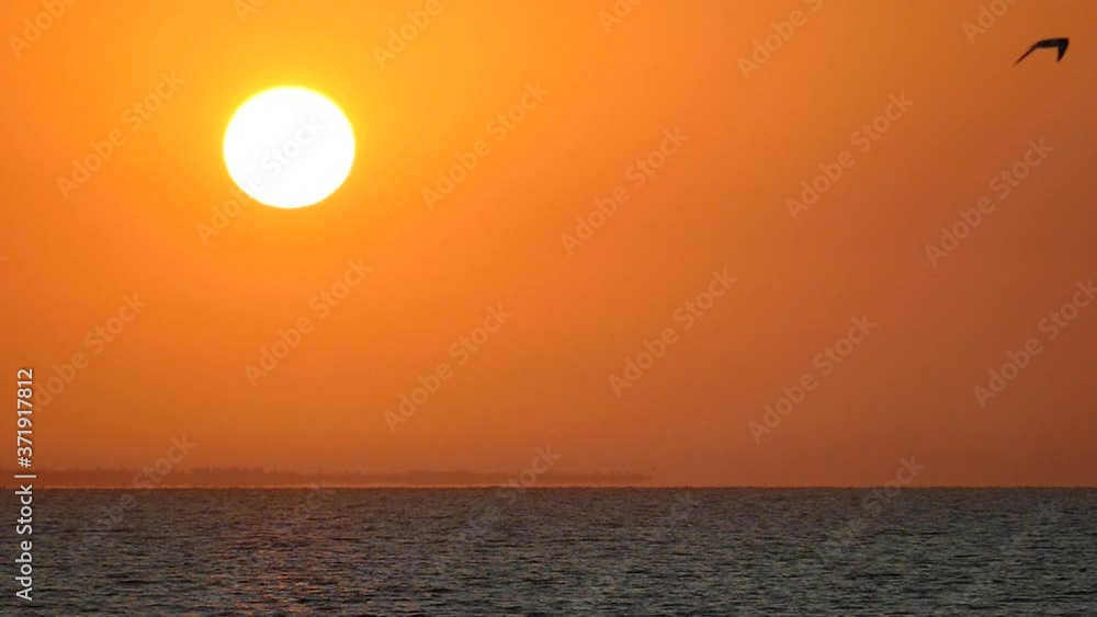 Sun pattern. Sunrise. Great sun. Dawn background. Sun in slow motion. Wild birds fly against the backdrop of the sun. Heat concept. Sun pattern. Sunrise. Great sun. Dawn background. Sun in slow motion. Wild birds fly against the backdrop of the sun. Heat concept.