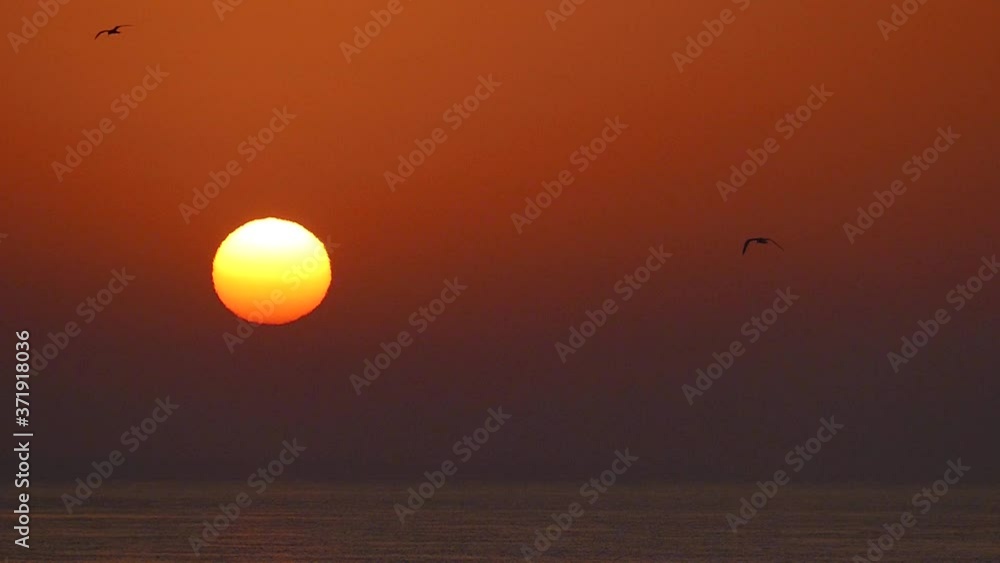 Sun pattern. Sunrise. Great sun. Dawn background. Sun in slow motion. Wild birds fly against the backdrop of the sun. Heat concept. Sun pattern. Sunrise. Great sun. Dawn background. Sun in slow motion. Wild birds fly against the backdrop of the sun. Heat concept.
