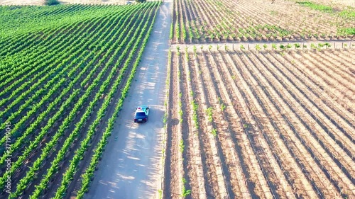 Aerial shot following behind a police car as they drive down a dirt road through a vineyard. 4K photo