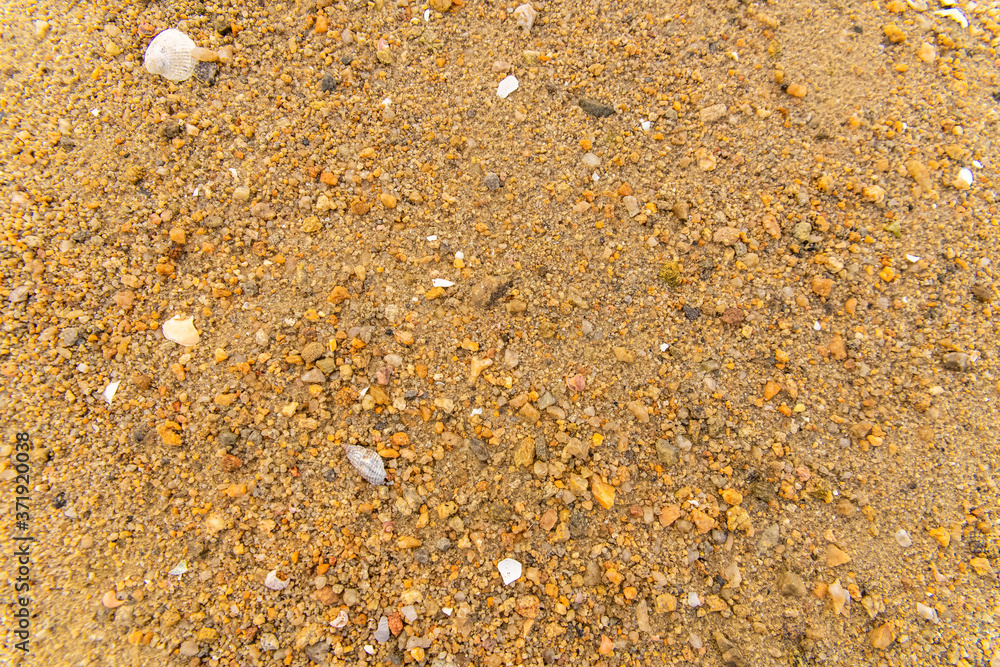 Sand on the beach in Brittany, with small shells, background
Sand on the beach in Brittany, with small shells, background