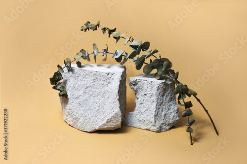 Creative grey stone podium for cosmetics or products on brown beige background. Modern layout with two concrete presentation pedestal, dried eucalipt brunches. Trendy concept. Marketing scene mockup photo