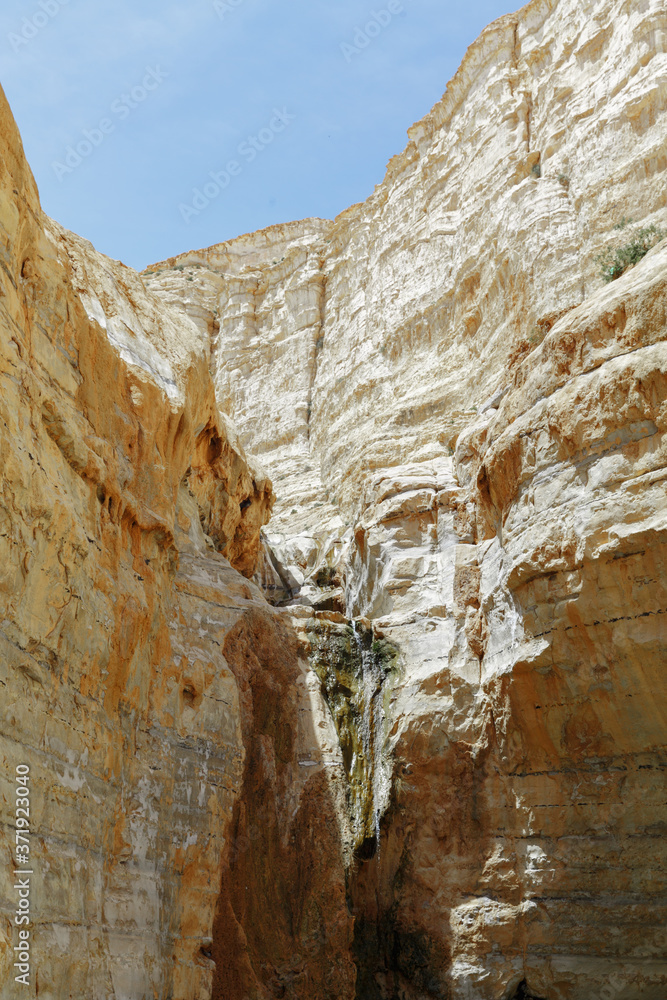 Waterfall in the Ein Avdat Canyon
