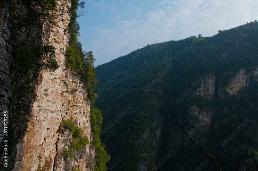 Zhangjiajie Grand Canyon, Hunan, contains mountain streams, silk-like smooth water, birds playing in the water, aquatic plants, ossy stones, cliffs, green trees environment, blue sky and reflection as