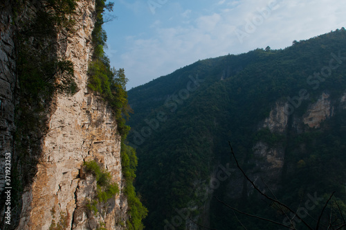 Zhangjiajie Grand Canyon, Hunan, contains mountain streams, silk-like smooth water, birds playing in the water, aquatic plants, ossy stones, cliffs, green trees environment, blue sky and reflection as