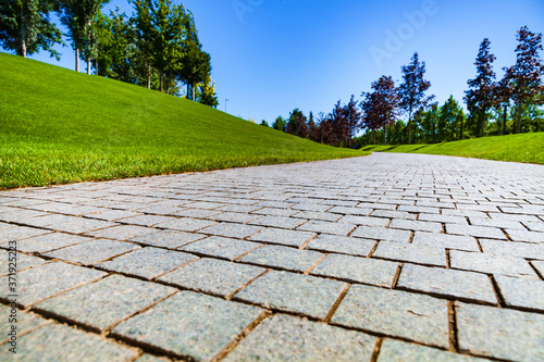 Wallpaper Mural Stone walkway, lawn and trees in the park Torontodigital.ca
