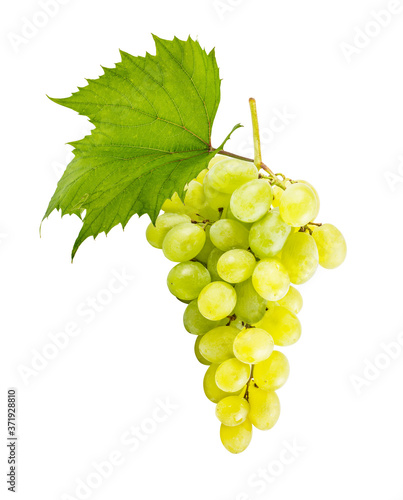 Grapes isolated on white background with clipping path