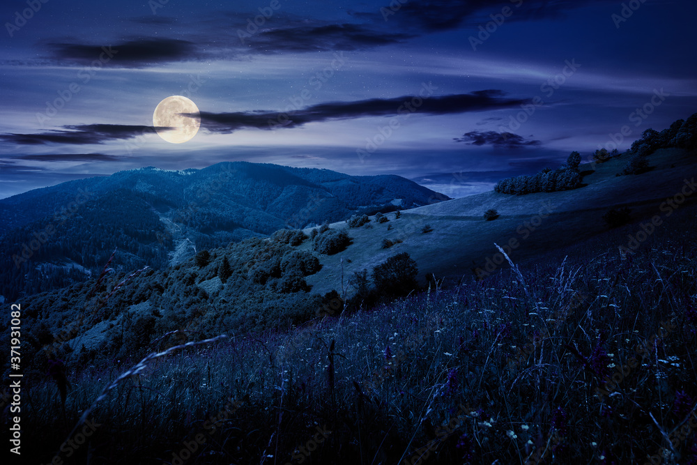 summer landscape in mountains at night. amazing scenery with herbs in fields on rolling hills in full moon light. clouds on the blue sky above the distant ridge
