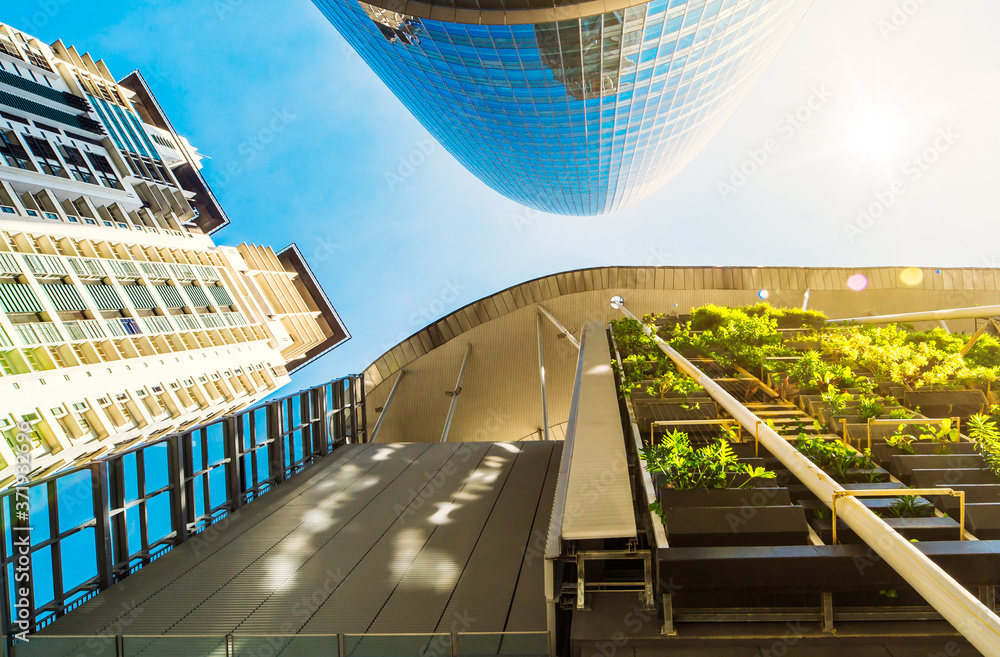 Fototapeta premium Street tree and modern office Buildings in sunlight