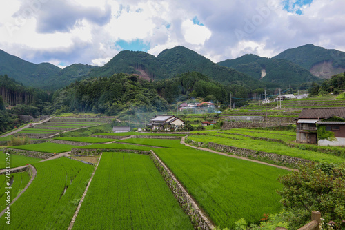 田舎の風景