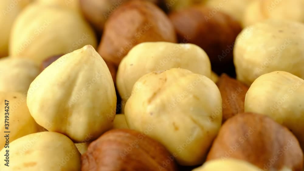 Hazelnuts super macro background texture. Fresh raw organic nuts closeup rotating. Hazelnuts super macro background texture. Fresh raw organic nuts closeup rotating.