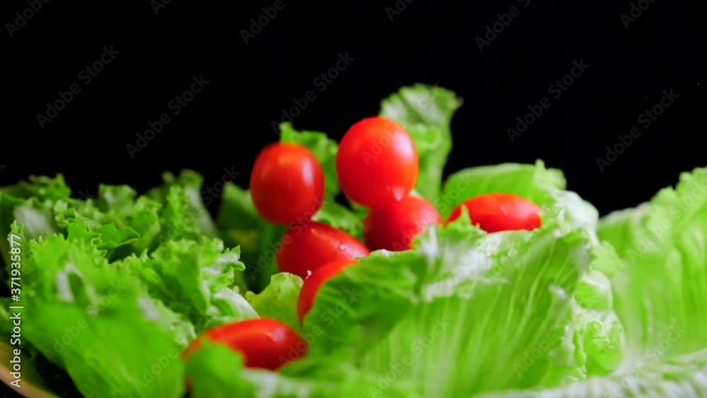 Rotating View of Cherry Tomatoes Falling in Slow Motion into Delicious lettuce leaves Rotating View of Cherry Tomatoes Falling in Slow Motion into Delicious lettuce leaves