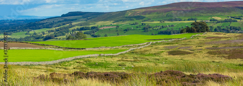 Carlton in Coverdale, Yorkshire Dales.  A panoramic view from Melmerby Grouse Moor in August with rolling green fields, heather clad moorland and drystone walling.
