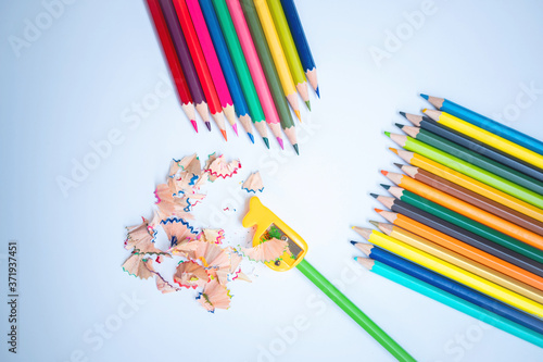 Back to school concept. Top-down of the Colored pencils and pencil shavings along with yellow pencil frog on a white background. Multi-colored pencils with colored pencil shavings on the white floor.