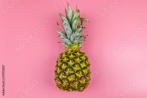 One whole pineapple on pink background. Top view