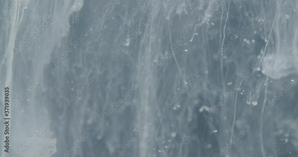 Macro shot of small organic forms floating in water. Huge black mushrooms dropping in the background. Macro shot of small organic forms floating in water. Huge black mushrooms dropping in the background.