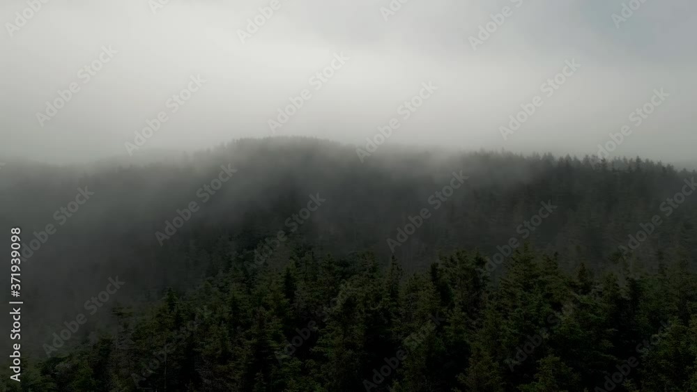 Aerial view of dramatic clouds moving over forest treetops on Magdalen Island Aerial view of dramatic clouds moving over forest treetops on Magdalen Island