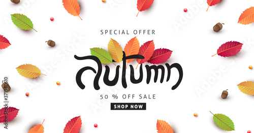 Autumn calligraphy poster banner background with autumn leaf