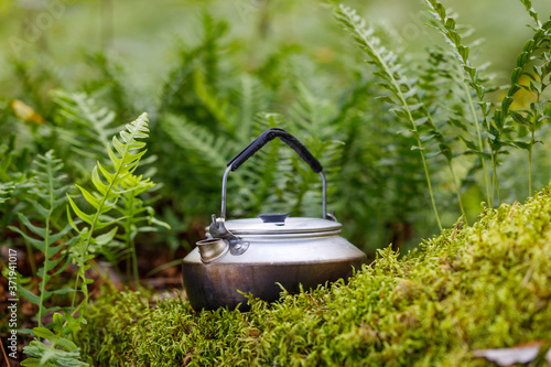Kettle on green moss. The background is blurry.