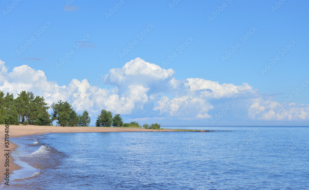 Fototapeta premium Coast of lake at sunny day.