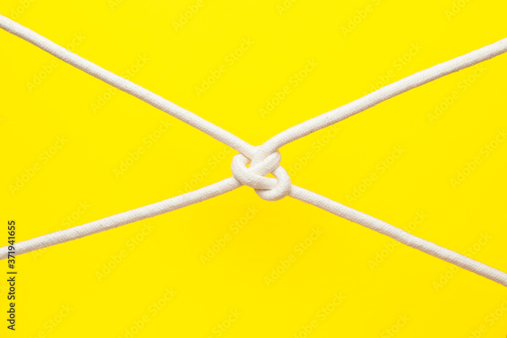 Ropes with knot on color background