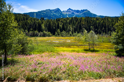 Aprica Pian di Gembro