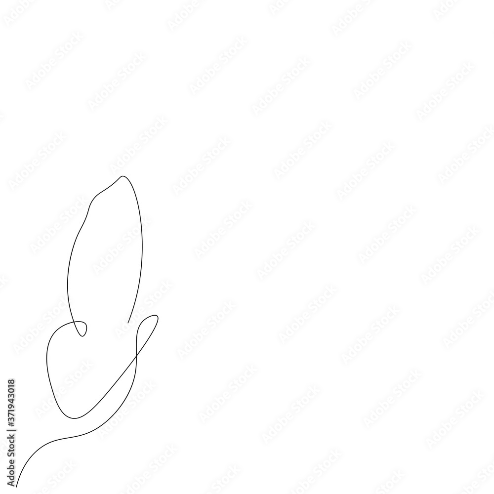 Butterfly animal line drawing. Vector illustration