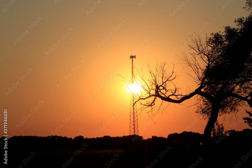 sunset in the countryside with a tree and 5 G Tower silhouettes west of Hutchinson Kansas USA out in the country.