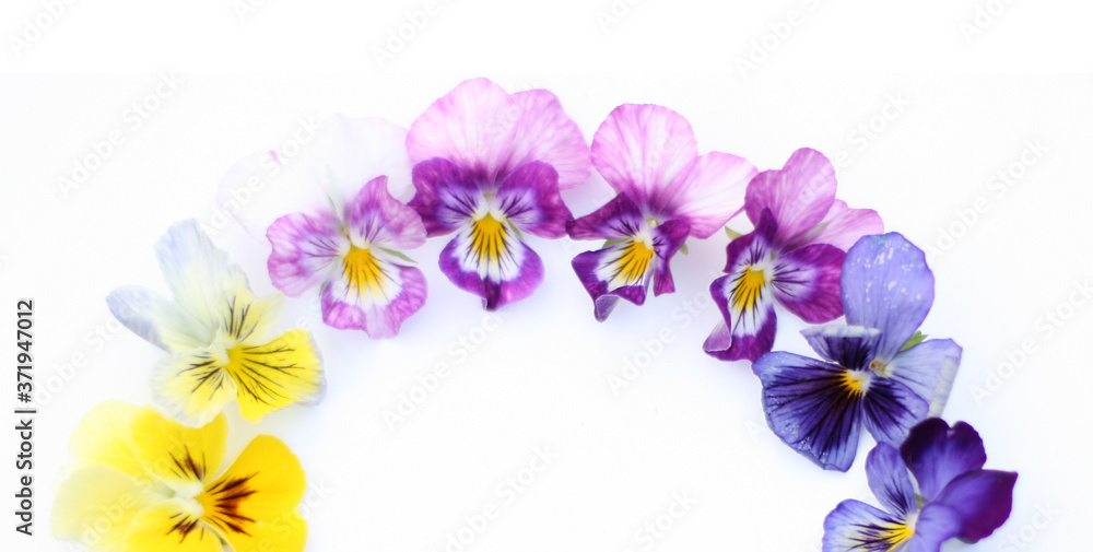 Round Frame with flowers and leaves. Top view background with pansy flowers. Flowers composition. Mock up with plants. Flat lay with flowers on white table. Banner size. Copyspace for text.